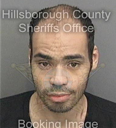 Patrick Davis, - Hillsborough County, FL 