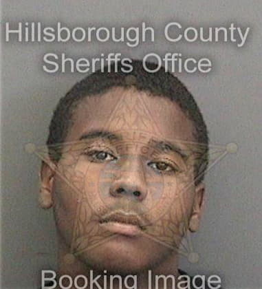 Leroy Henry - Hillsborough County, FL 