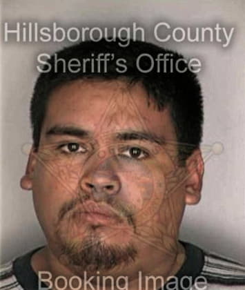 Timothy Hibbs - Hillsborough County, FL 