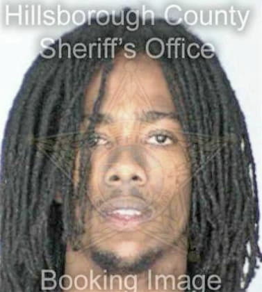 Reginald Johnson, - Hillsborough County, FL 