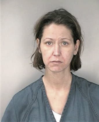 Lisa Mattson - Hillsborough County, FL 