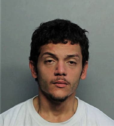 Mario Mejia, - Dade County, FL 