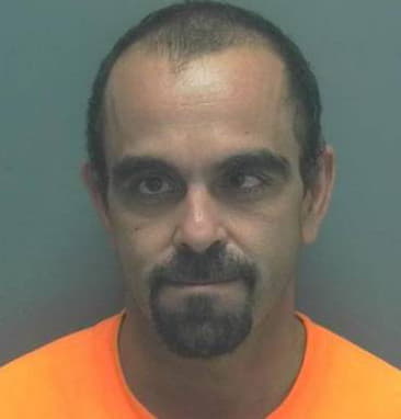 James Mesner, - Lee County, FL 