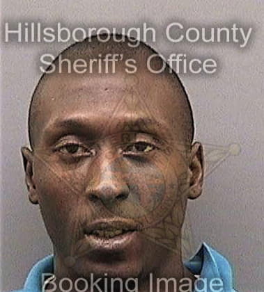 David Nimmer, - Hillsborough County, FL 