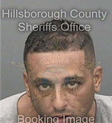 Christopher Reed, - Hillsborough County, FL 