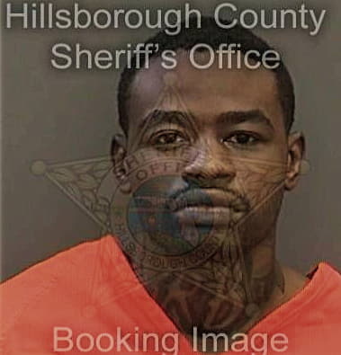 Taejun Robbins - Hillsborough County, FL 
