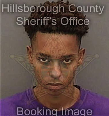 Steven Sinclair, - Hillsborough County, FL 