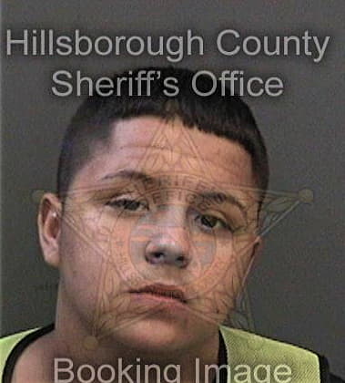 Ismael Antonioreyes, - Hillsborough County, FL 