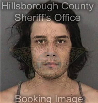 Ronald Berry - Hillsborough County, FL 