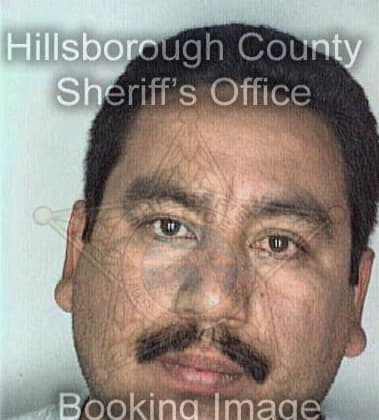 Anthony Brancaccio - Hillsborough County, FL 