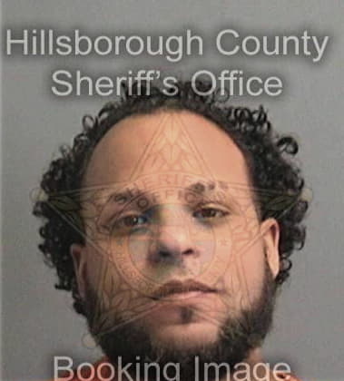Brian Breeding - Hillsborough County, FL 