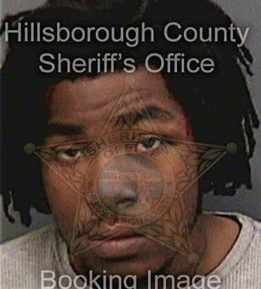 Tarique Brydson, - Hillsborough County, FL 