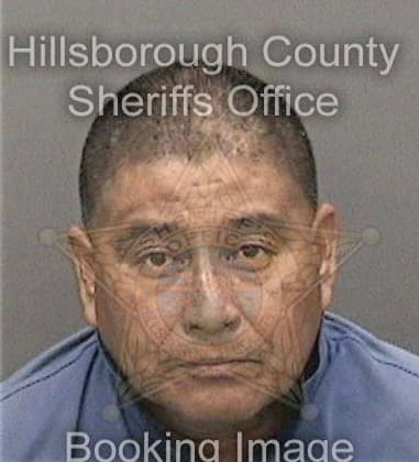 Jeffery Mills - Hillsborough County, FL 