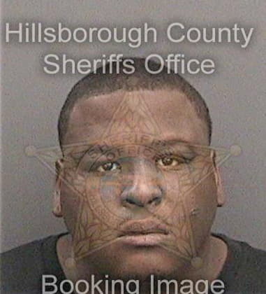 Raheem Palmer, - Hillsborough County, FL 