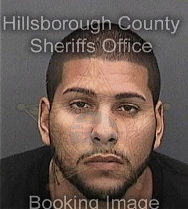 David Park, - Hillsborough County, FL 