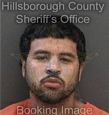 Anthony Penny, - Hillsborough County, FL 