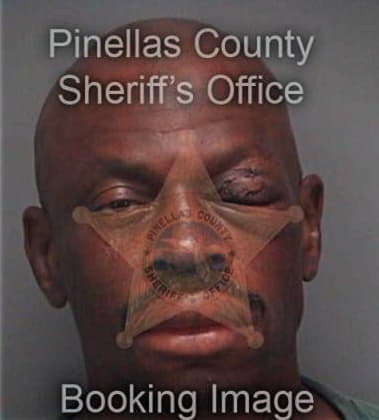 Brandon Revels, - Pinellas County, FL 