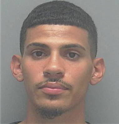 Michael Andres, - Lee County, FL 