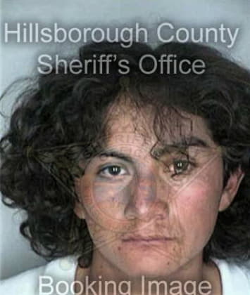 Richard Brady - Hillsborough County, FL 