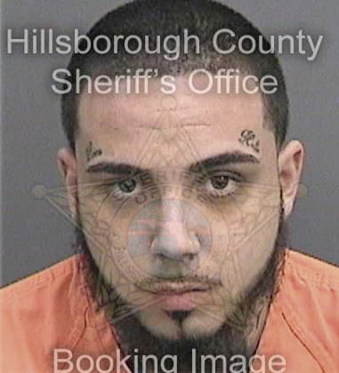 Anthony Brigante - Hillsborough County, FL 