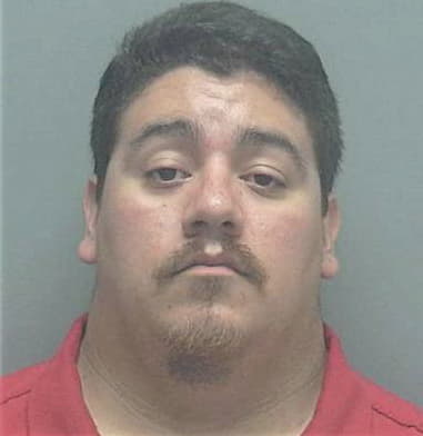 Luis Garcia-Perdomo, - Lee County, FL 