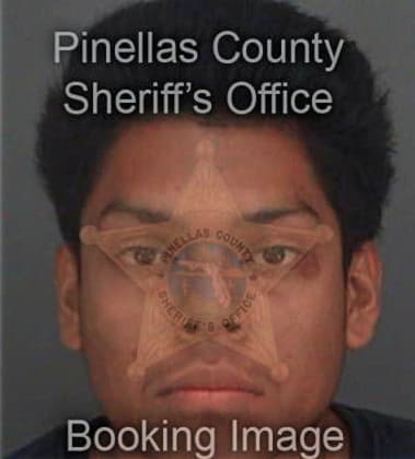 Jairo Lemusherrera, - Pinellas County, FL 