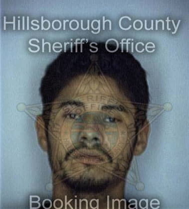 Alfonso Lufriu, - Hillsborough County, FL 