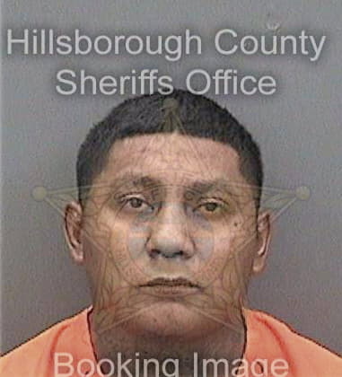 Michael Nelson, - Hillsborough County, FL 