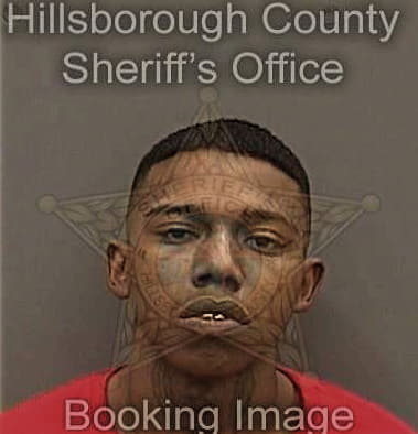 Michael Robertson - Hillsborough County, FL 