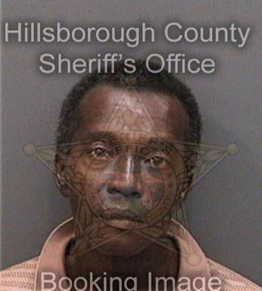 Ores Codrington - Hillsborough County, FL 