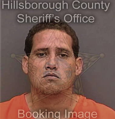 Jonathan Esteban, - Hillsborough County, FL 