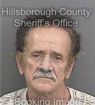 Nicholas Flenor, - Hillsborough County, FL 