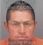 Pedro Gonzalez, - Pinellas County, FL 