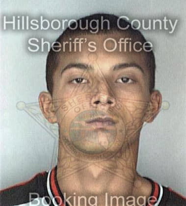 Gilbert Haley, - Hillsborough County, FL 