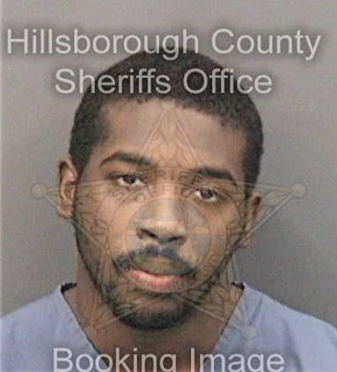 Aaron King, - Hillsborough County, FL 