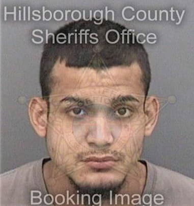 Carlos Magellonsalcedo, - Hillsborough County, FL 