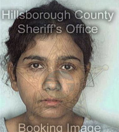 Dianna McMillion - Hillsborough County, FL 