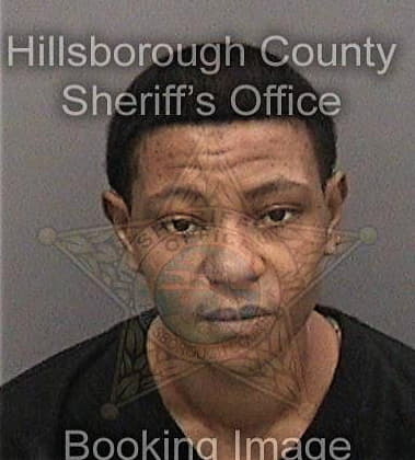 Dianna Mervil - Hillsborough County, FL 