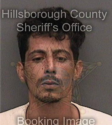 Luis Valentin, - Hillsborough County, FL 