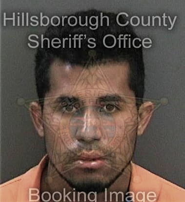 Frank Vallejo-Lopez, - Hillsborough County, FL 