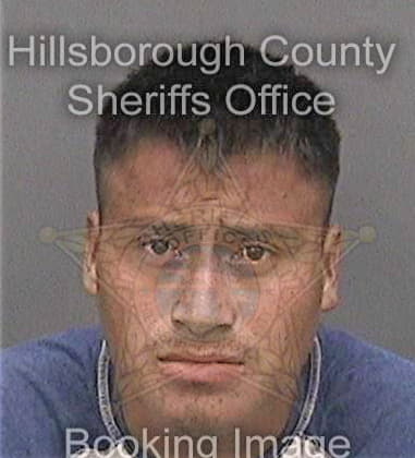 Carlos Aponte, - Hillsborough County, FL 