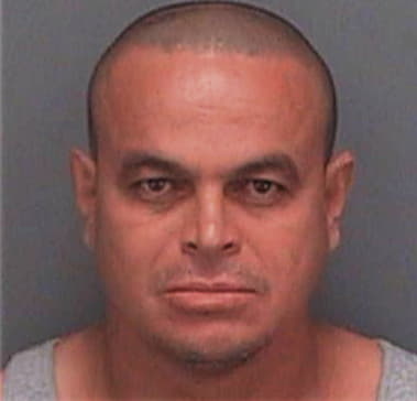 Wilfredo Guivas, - Pinellas County, FL 