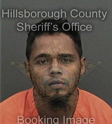 Daniel Hall, - Hillsborough County, FL 