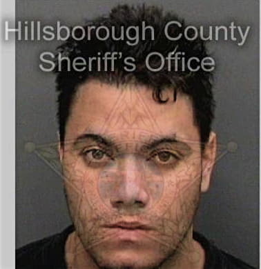 Joseph Hulsberg, - Hillsborough County, FL 