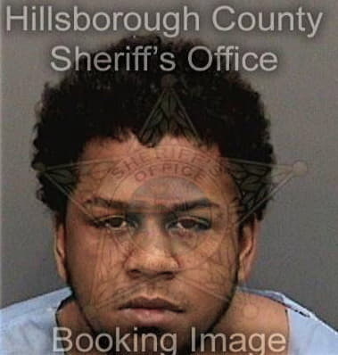 Kenneth Lewis, - Hillsborough County, FL 