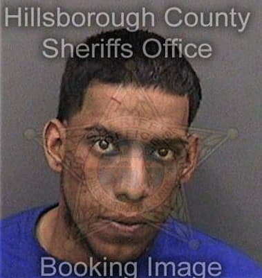 Emanuel Martinez, - Hillsborough County, FL 