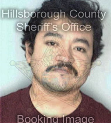 Jose Martinez, - Hillsborough County, FL 