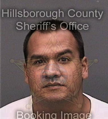 Christopher McDonald - Hillsborough County, FL 