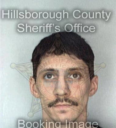 Shane McLaughlin - Hillsborough County, FL 