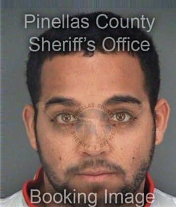 Shane South - Pinellas County, FL 